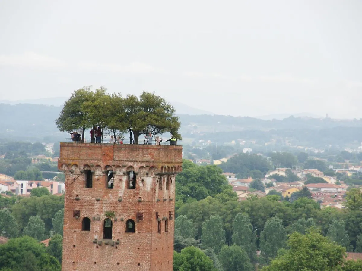 Villa Locazione Turistica Girasole Santa Maria Giudice Casa vacanze